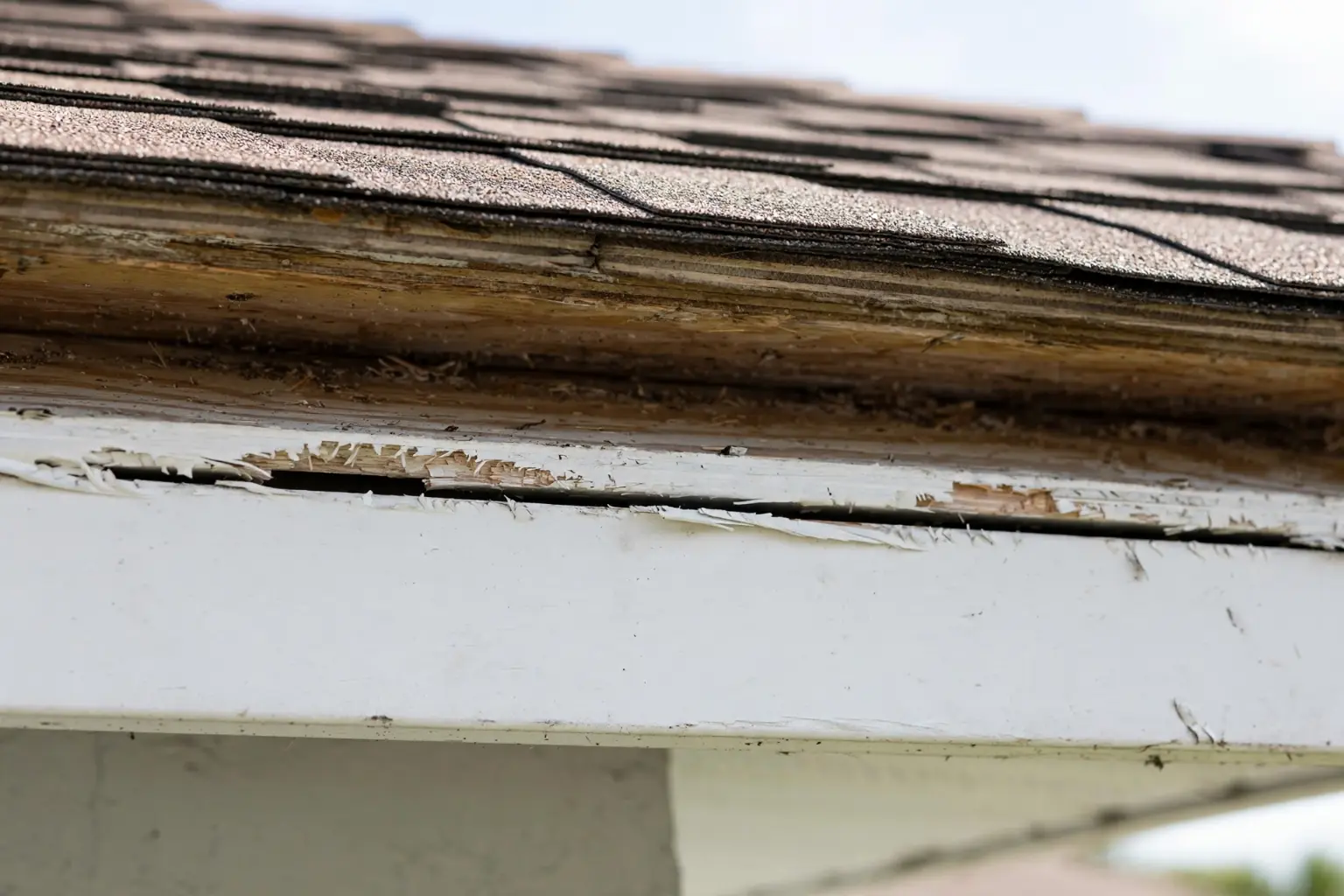 Sealing a rodent entry point at the roofline